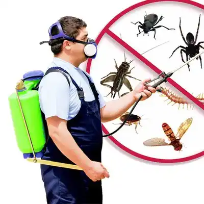 pest control Edgewood
